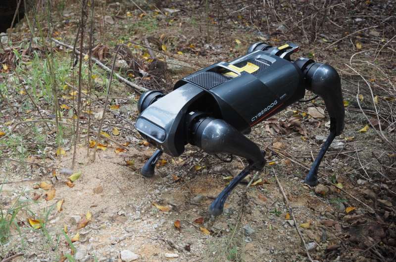 Researchers train a robot dog to combat invasive fire ants