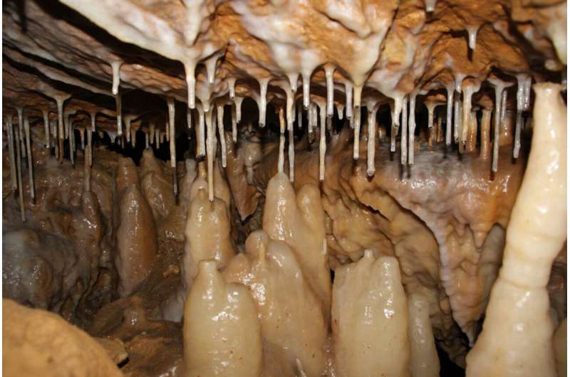 Researchers use stalagmite to reconstruct regional and global climate history