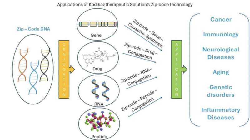 Retrotransposon DNA zip code for myeloma cell internalization