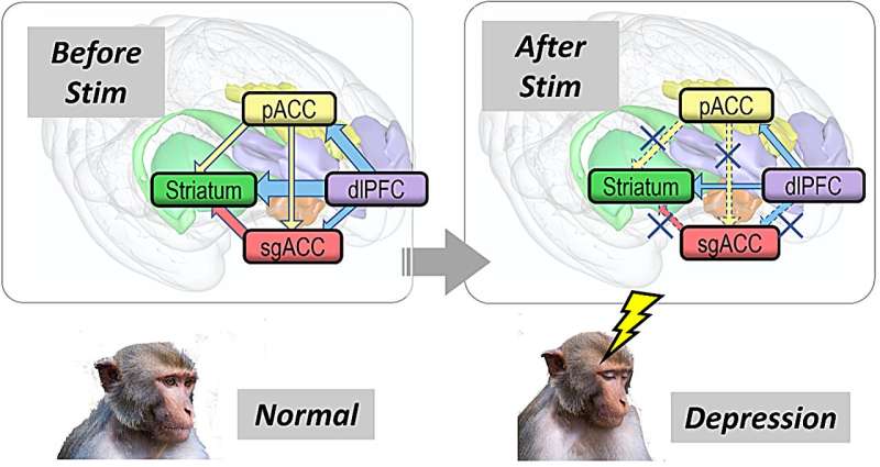 Revealing the conflict mechanism between cognition and emotion: Discovery of top-down signals regulating depression