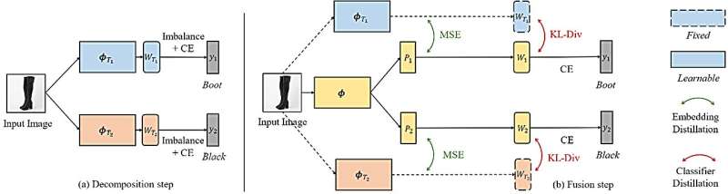 Revisiting multi-dimensional classification from a dimension-wise perspective