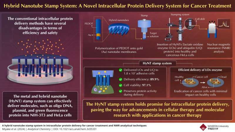 Revolutionizing cancer treatment by intracellular protein delivery using hybrid nanotubes