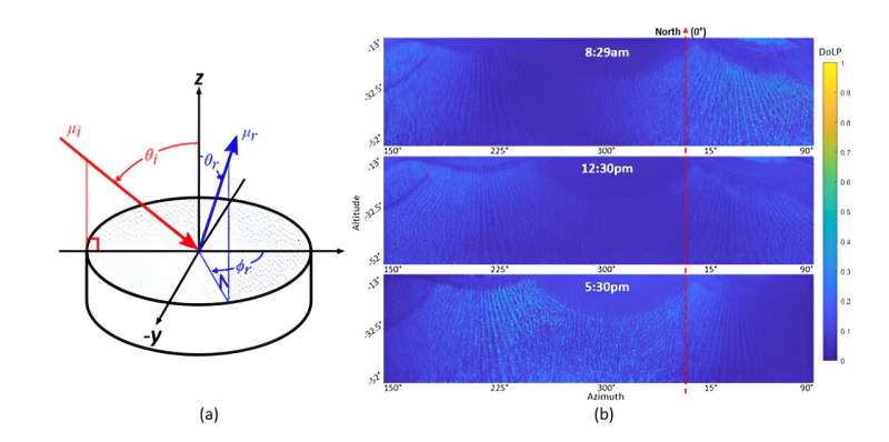 Revolutionizing field phenotyping: A novel glare correction technique using polarized light