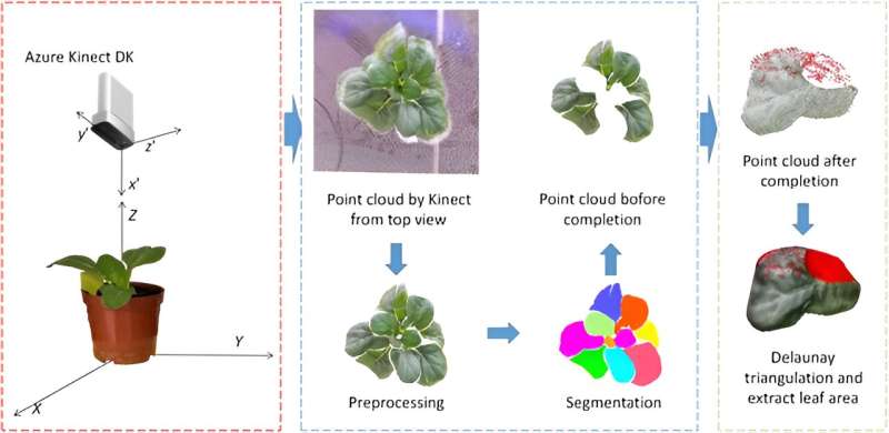Revolutionizing plant phenotyping: deep learning and 3D point cloud technology in overcoming reconstruction challenges