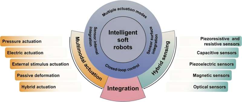 Revolutionizing robotics: Integrating actuation and sensing for smarter soft robots