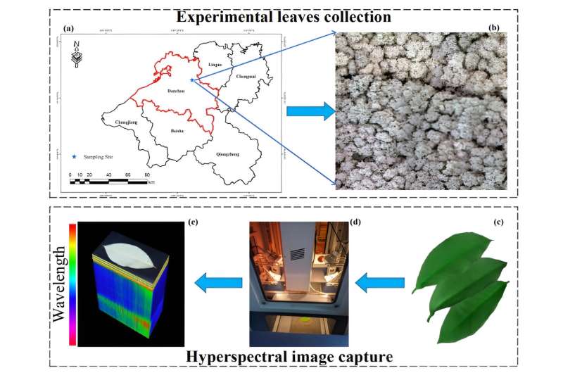 Revolutionizing rubber tree nutrient management: Harnessing hyperspectral imaging and machine learning