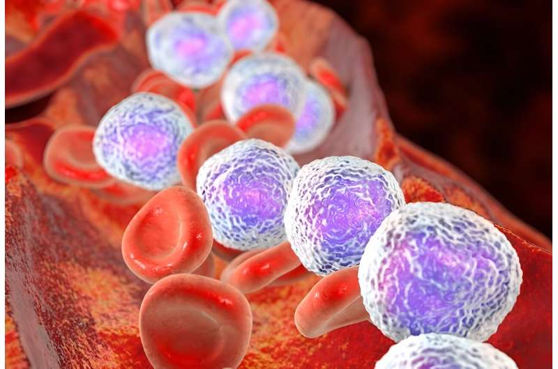 Risk for cancer increased for relatives of patients with leukemia