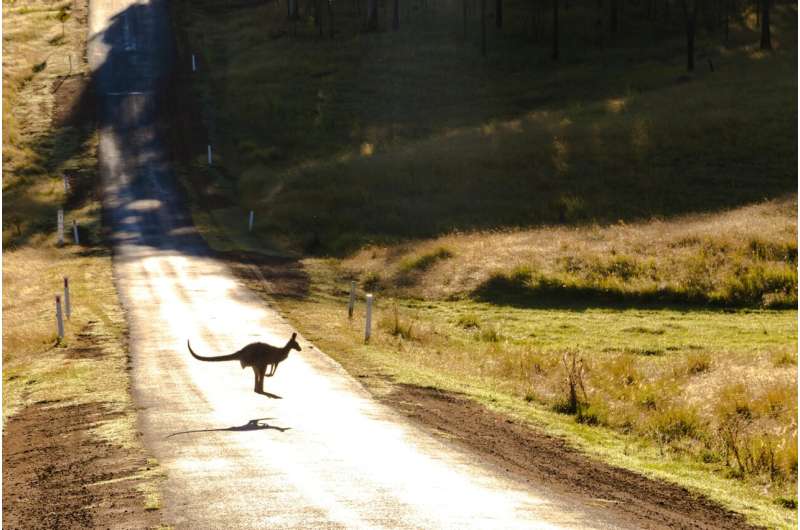 road australia