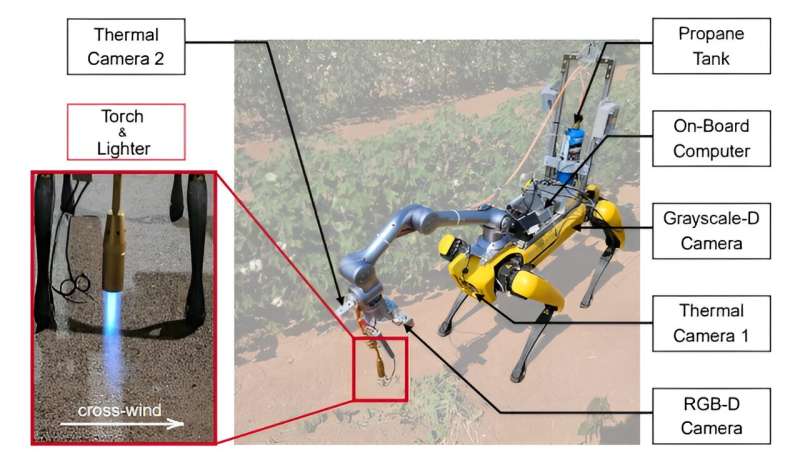 Robot Spot configured to find and stun weeds using a blowtorch