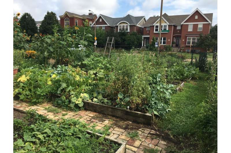 Scaling up urban agriculture: Research team outlines roadmap
