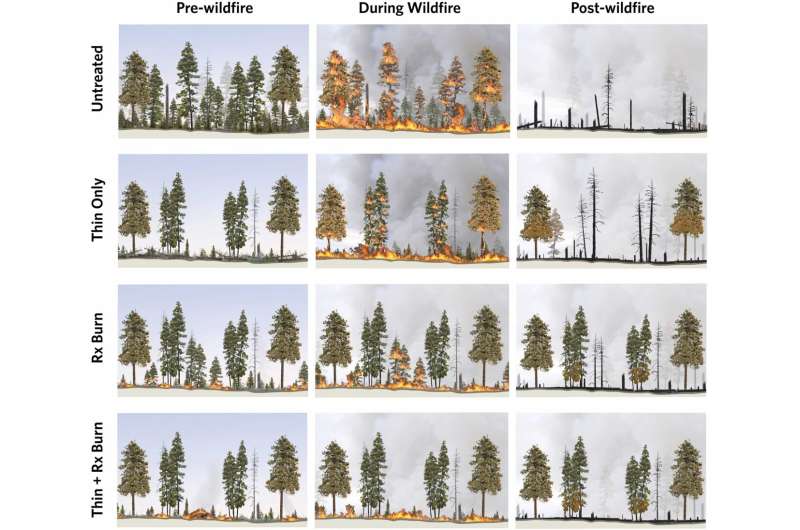 Science review shows fuel treatments reduce future wildfire severity