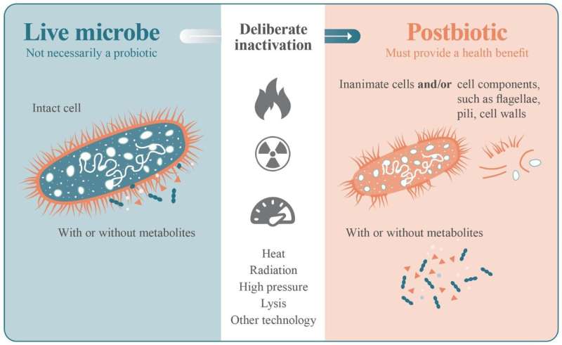 Scientists address debates on postbiotic definition with new paper