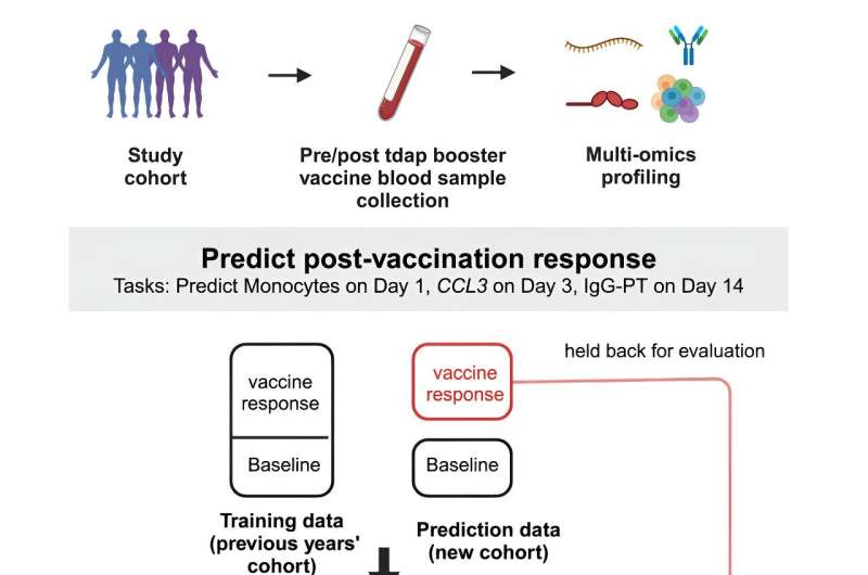 Scientists compete to make best predictions about pertussis vaccine