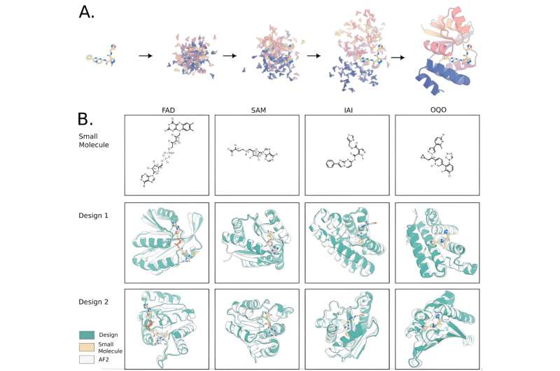 Scientists develop deep learning method to design bilin-binding proteins