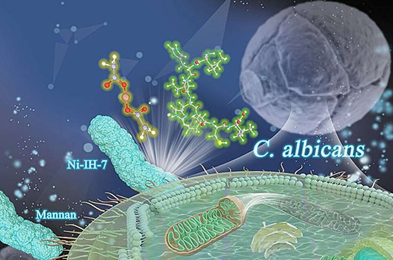 Scientists develop dual-functional, high-efficiency antimicrobial nanozyme