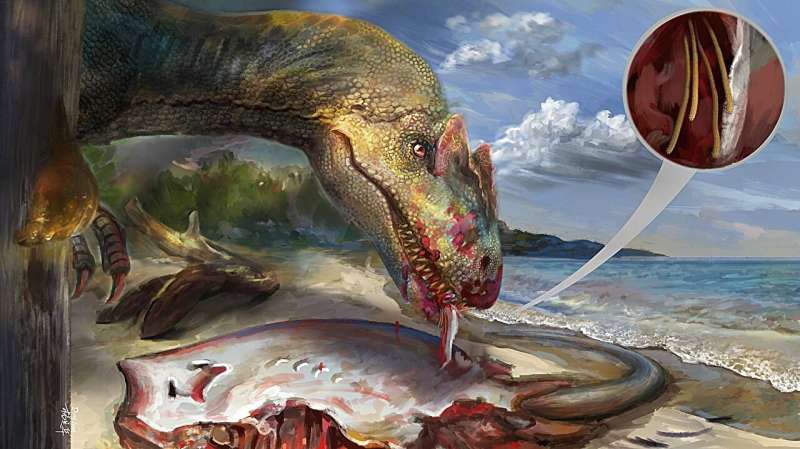 Scientists discover endoparasitic marine tapeworm trapped in Cretaceous amber