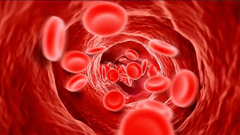Scientists discover over 100 new genomic regions linked to blood pressure