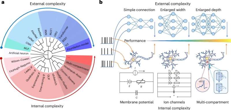 Scientists establish brain-inspired network model to bridge AI and neuroscience