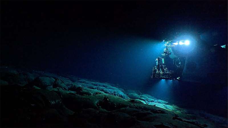 Scientists find five new hydrothermal vents in Pacific Ocean