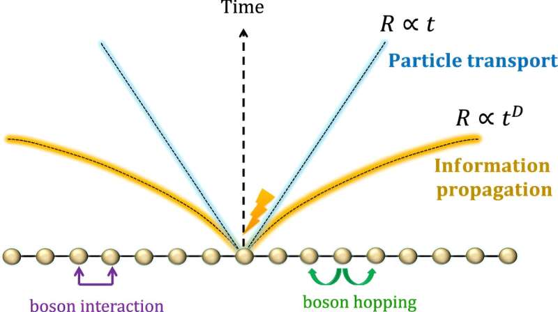 Scientists investigate information propagation in interacting bosonic systems