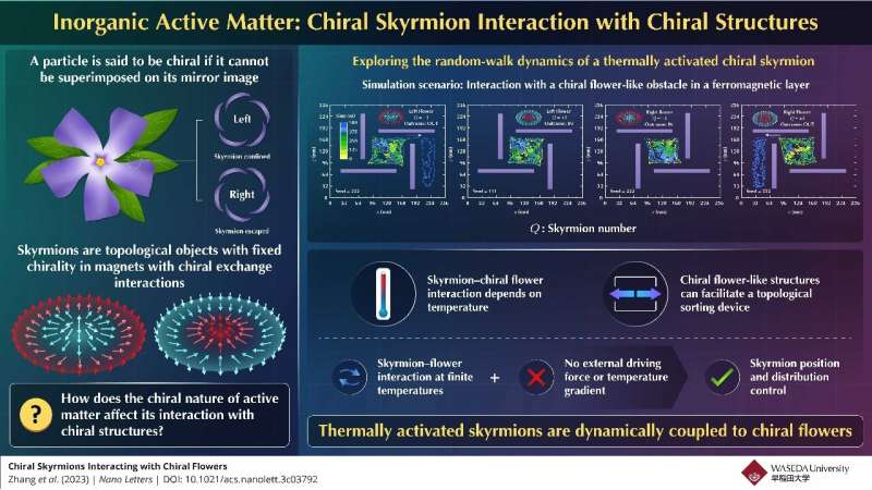Wetenschappers bestuderen het gedrag van chirale skyrmionen in chirale bloemachtige obstakels