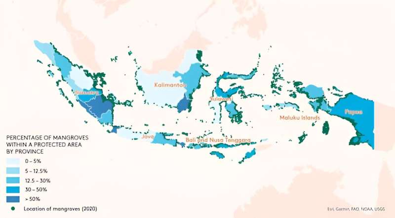 Ocean możliwości: ochrona namorzynów i dna morskiego może pomóc Indonezji w realizacji nowych celów klimatycznych