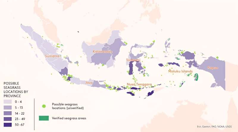 Ocean możliwości: ochrona namorzynów i dna morskiego może pomóc Indonezji w realizacji nowych celów klimatycznych