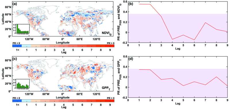 Seasonal compensation implied no weakening of the land carbon sink in the Northern Hemisphere under the 2015/2016 El Niño