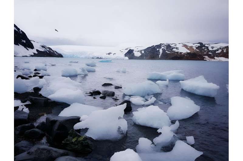 Seawater dynamics in an underexplored Antarctic fjord