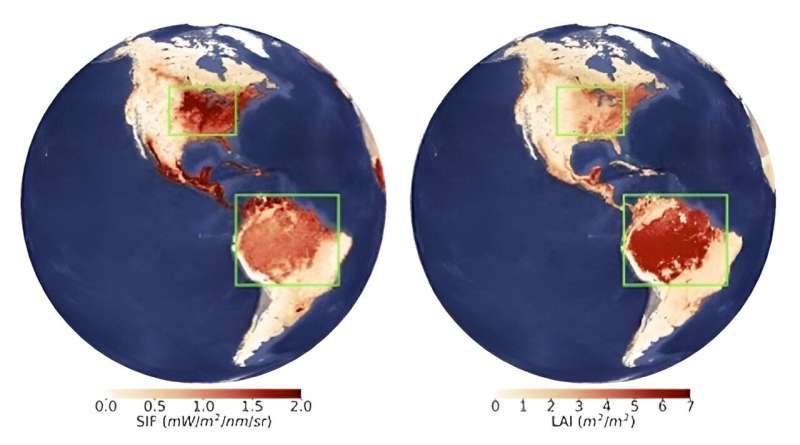 Shadows & Greenness: Uncovering Satellite Biases in Viewing Earth's Vegetation