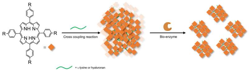 Shaping nanoparticles with enzymes