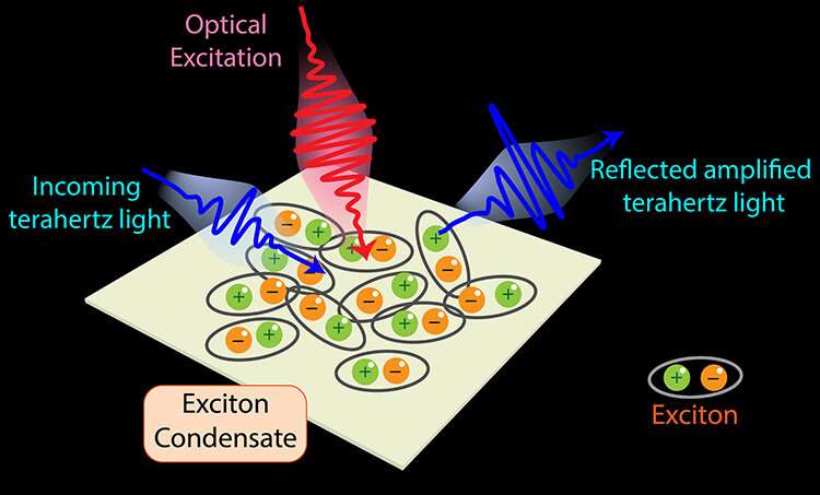 Shining a light on the hidden properties of quantum materials