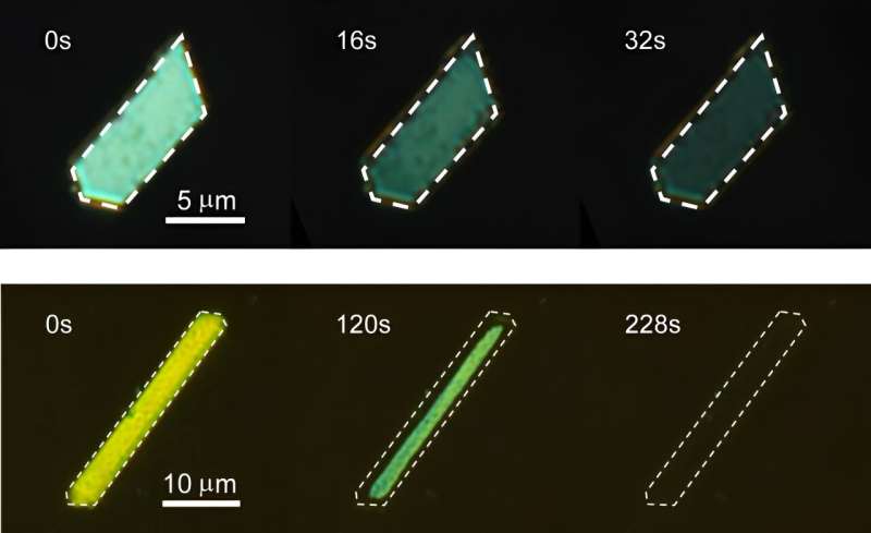 Shining light on similar crystals reveals photoreactions can differ