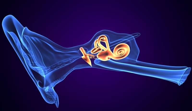 Signal intensity ratio of cochlear basal turn increased in affected ear in meniere disease