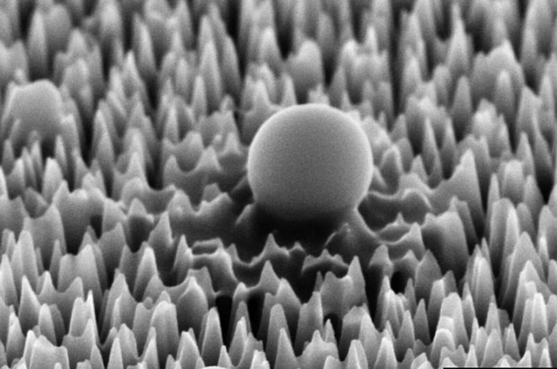 Silicon spikes take out 96% of virus particles