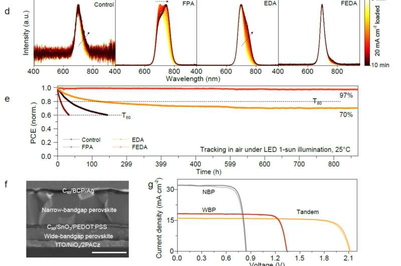 Similar to traditional semiconductors—lead halide perovskites achieve effective electrical doping