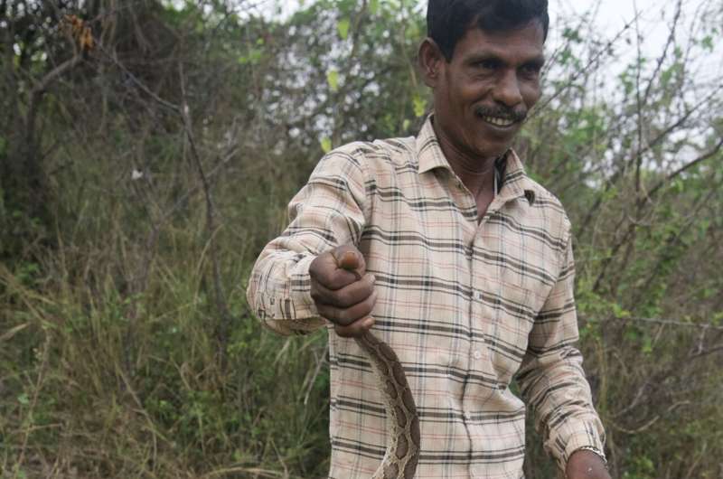 Simple steps can cut snakebite deaths