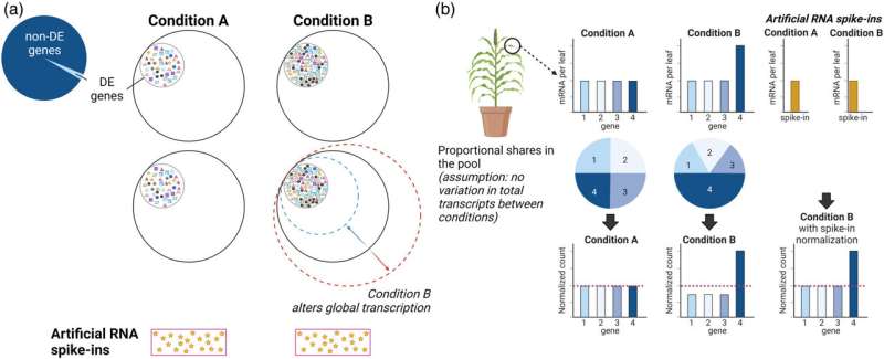 Simple trick could improve accuracy of plant genetics research