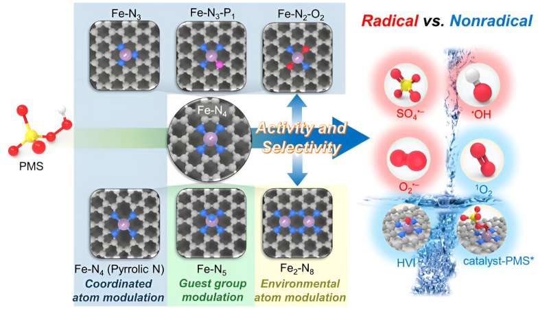 Single-atom catalysts revolutionize water purification in advanced oxidation process