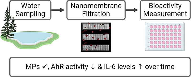 Sizing up microplastics: Nanofiltration uncovers environmental bioactivity