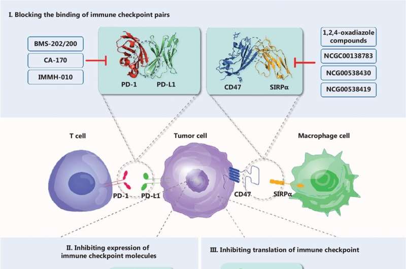 Small molecules, big impact: Further development of immune checkpoint inhibitors against cancer