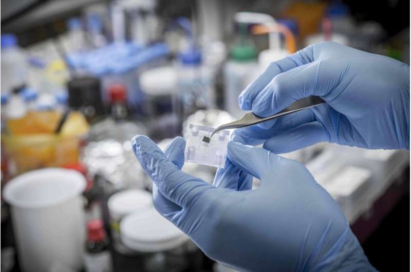 SMU, U of Rhode Island patenteert goedkope methode om de creatie van vaste nanoporiën te verbeteren