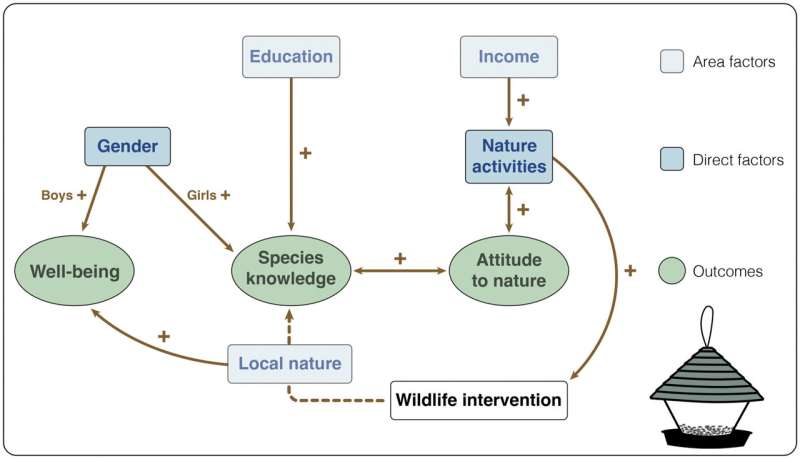 Socioeconomics found to shape children's connection to nature more than where they live