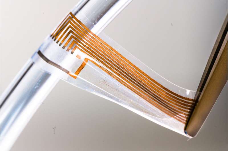 Researchers develop soft gold nanowires for neural interfaces