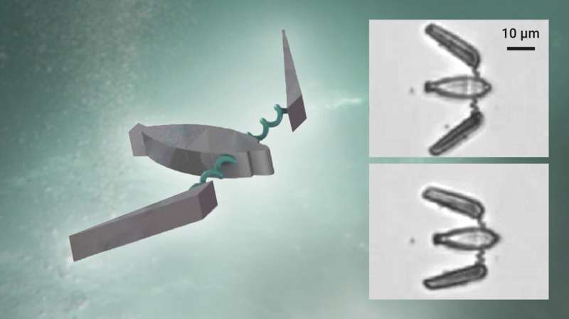 Soft microrobots with super-compliant picoforce springs as onboard sensors and actuators