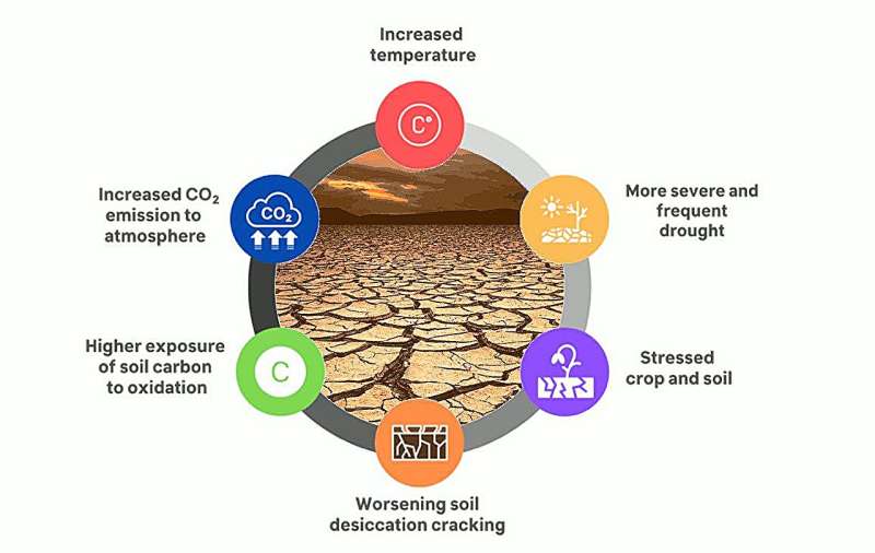 El suelo puede liberar más carbono de lo esperado, afectando los modelos de cambio climático
