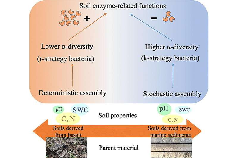 Soil studies on Hainan Island rubber plantations