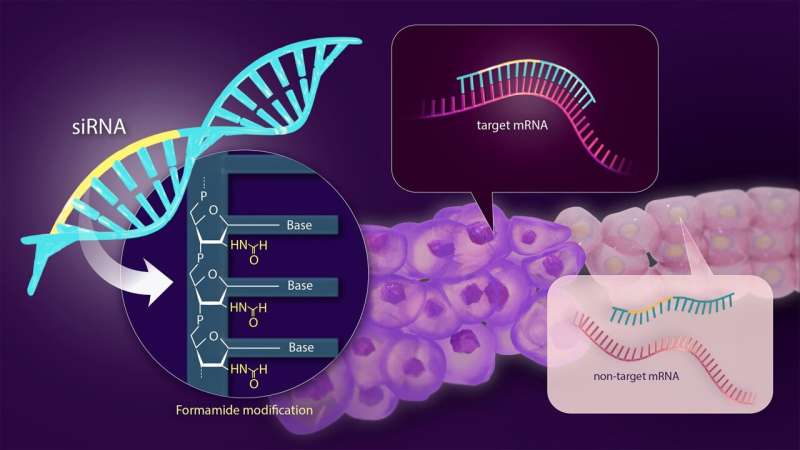 Solving the side effect problem of siRNA drugs for genetic disease treatment using formamide