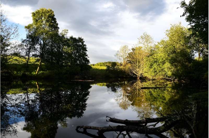 Some farmers are critical and blame beavers for felling trees and burrowing into embankments