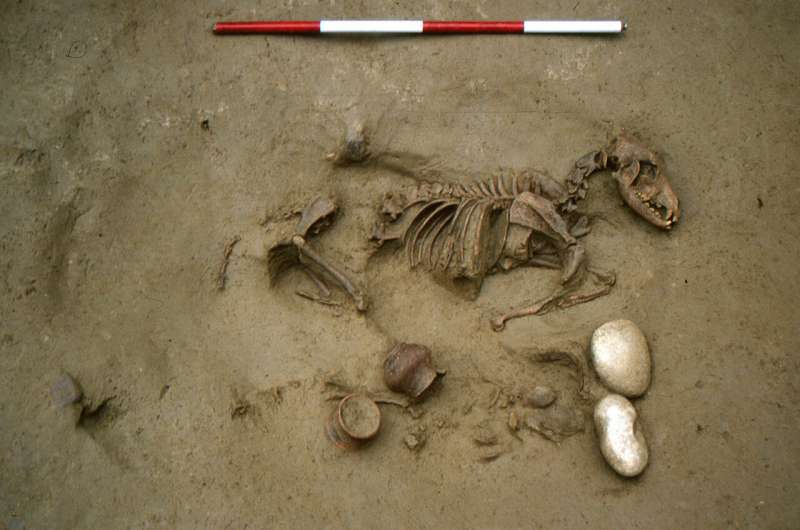 Some Pre-Roman humans were buried with dogs, horses and other animals